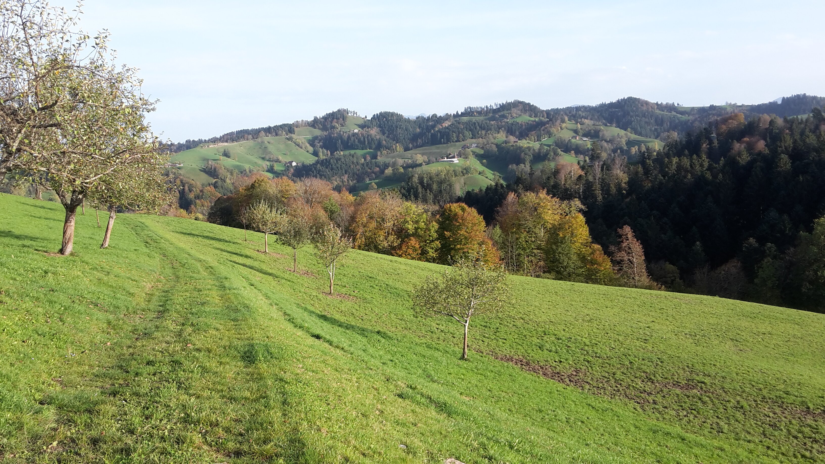 Home | Pastoralraum Region Willisau